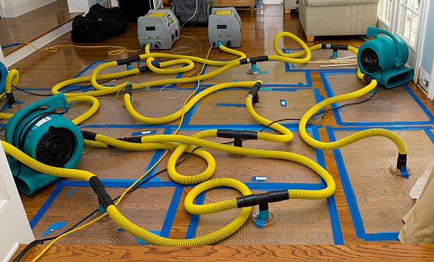 Professional Structural Drying And Dehumidification technician working in Huntley, IL